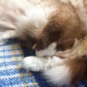 Meet your Posher, Karen